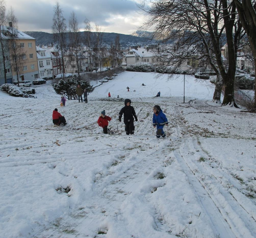 4. Forbruk og avfall: Samarbeid med BIR, Vil Vite og høyskolemiljøene i Bergen. 5.