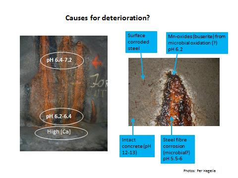 methods and chemical measurements, for assessment of the composition, diversity, stratification and activity of the biofilm communities in relation to the associated degradation of concrete and