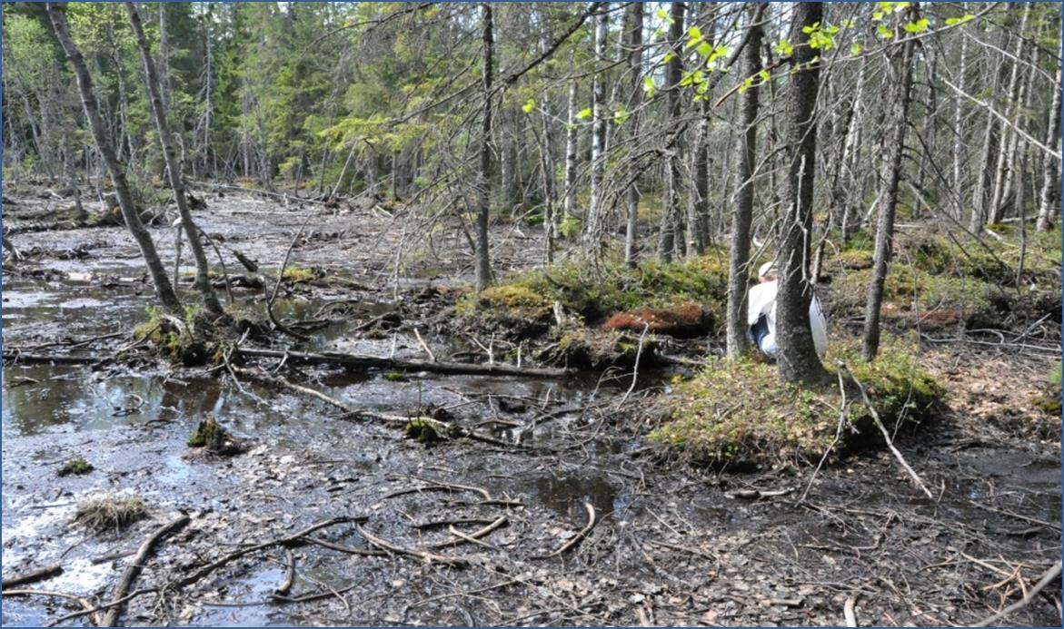 Forurensning fra Løvenskioldbanen i Bærum Vestre Aker