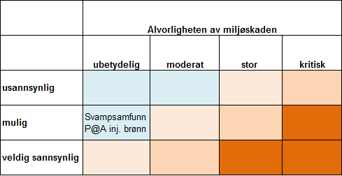 Tabell 3. Risikomatrise med innplassering av identifiserte risikoelementer.