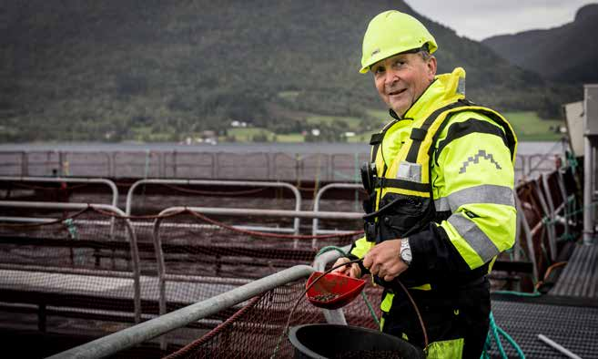 Lerøy Midt FISKEFÔR BESKATNING Lerøy Seafood Group er en aktiv pådriver overfor fôrleverandørene for å sikre at råvarene som benyttes i vårt fôr, er: Fisket/høstet på en etisk forsvarlig måte