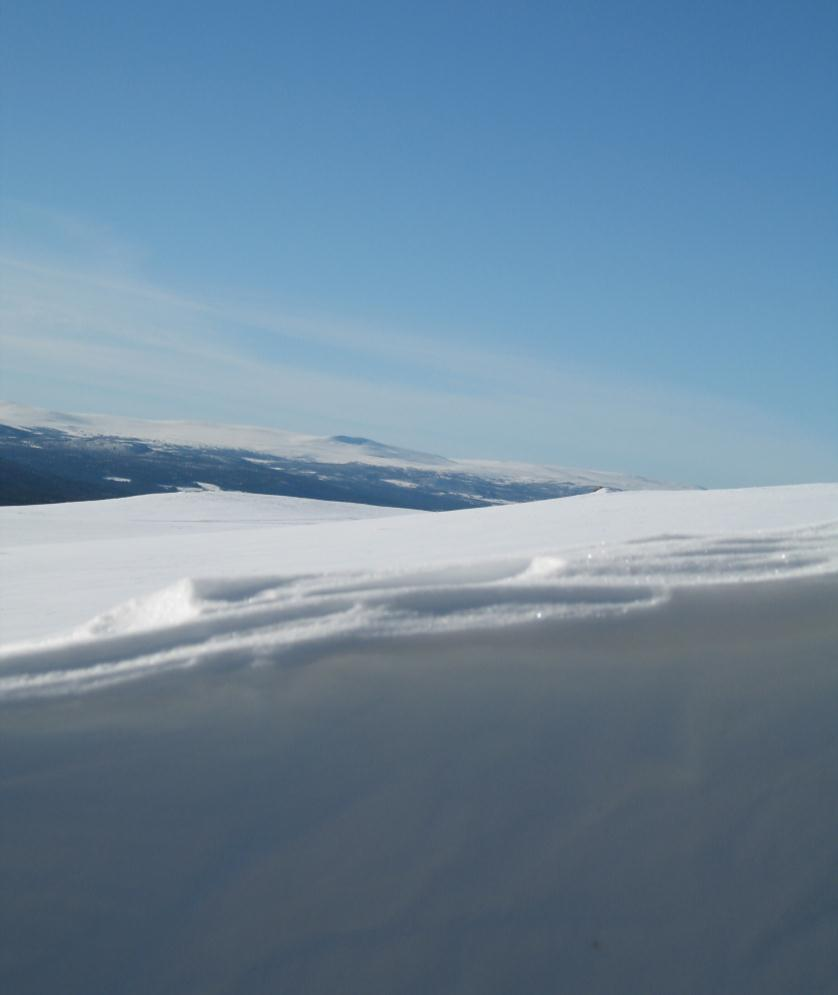 Styret ønsker alle hyttevenner riktig godt nytt år! Og velkommen til en ny sesong på Høsenfjellhytta! Råkjøring 15. februar 2009: tid 0 12 år: 1.