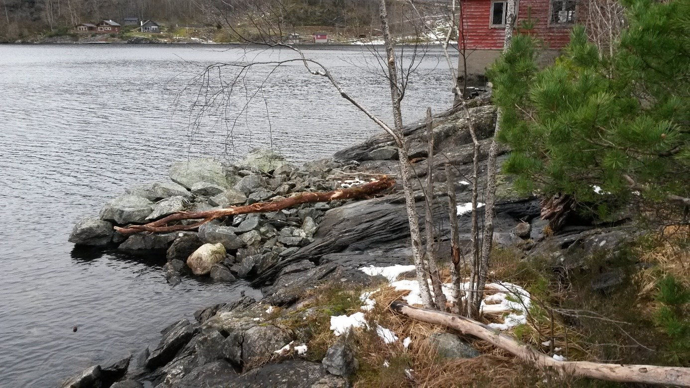 223 av 266 Figur 11. Sør for sjøhuset er der ein uferdig kai. Midtveges sør på tomten er der ein mur i sjølinja som står etter ein uferdig/øydelagd kai murt i naturstein, fronten er 6 m brei.