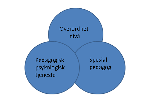 jeg ønsket å finne sakkyndige og spesialpedagoger i praksisfeltet som hadde erfaring og kunnskap om barn i førskolealder som har særlige behov for spesialpedagogisk hjelp.