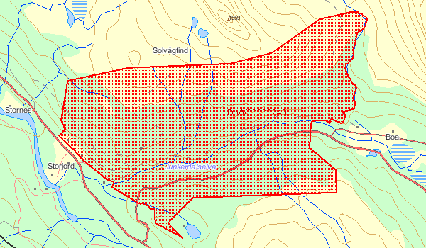 Det finnes betydelige granplantefelter omkring Storhågen og østover mot Trektelva (over selve Junkerdalsura) i høydenivå ca 375-475 m.o.h., på sørsiden ved munningen av Junkerdalen, og et stykke oppover Bibeldalen, og spredt enkelte andre steder.