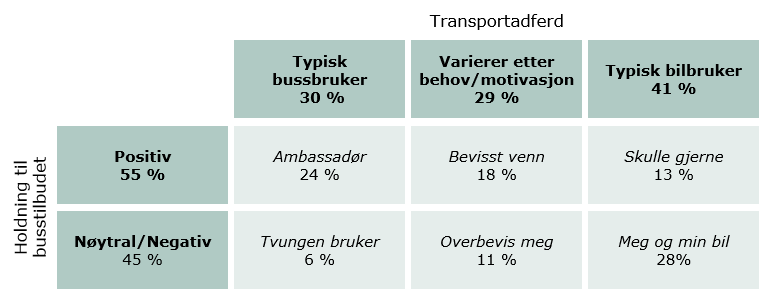 denne aldersgruppen har mulighet til å tilpasse seg alle nye teknologiske løsninger både av hensyn til forståelse og evnen til å sette seg inn i mulighetene.