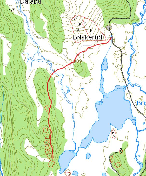113. Briskerudhaugan Veg til hyttefelt Briskerudhaugen Navneforslag: