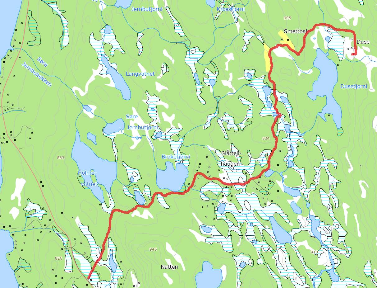 118. Slåttelihaugvegen Hovedveg til Slåttelihaugen (til Duse) Navneforslag: