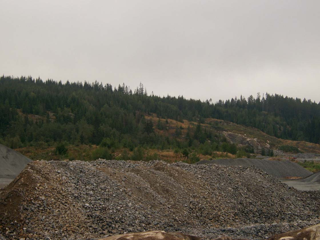 7.2 Naturressurser 7.2.1 Landbruk Eksisterende situasjon Planområdet har betydning for landbruket. De delene av planområdet som består av uberørt terreng er i hovedsak dekket av skog.