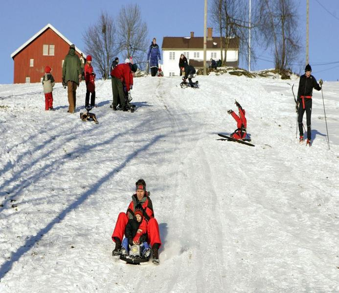 1. Skriv minst 10 setninger om juleferien din.