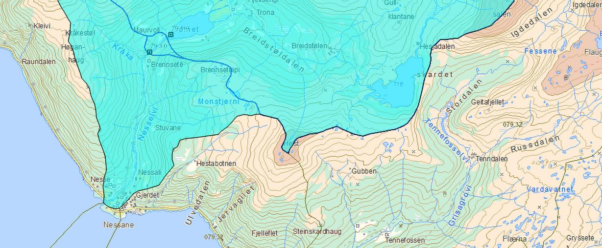 Flaumvurdering - Nesselvi 5 1 INNLEIING har som ein del av reguleringsplanarbeid i Nessane vurdert flomforholda ved Nesselvi der elva passerer området.