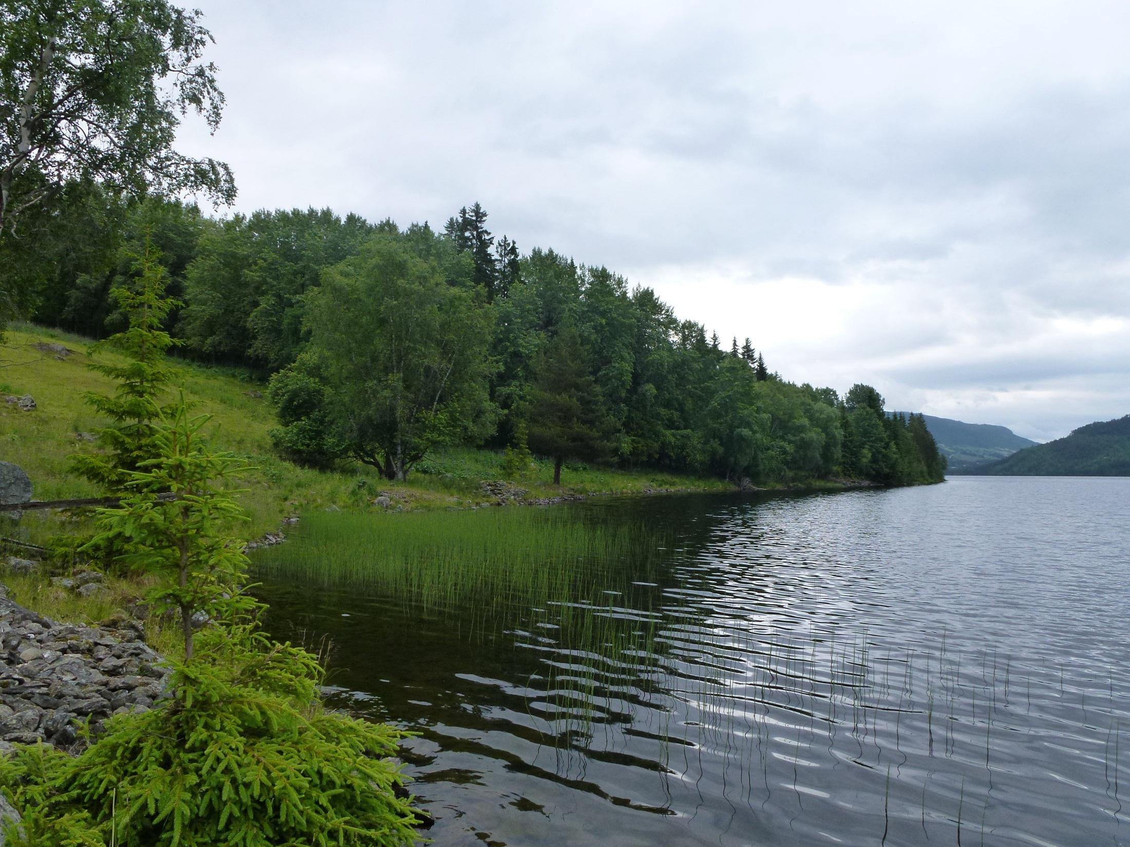 Heggefjorden