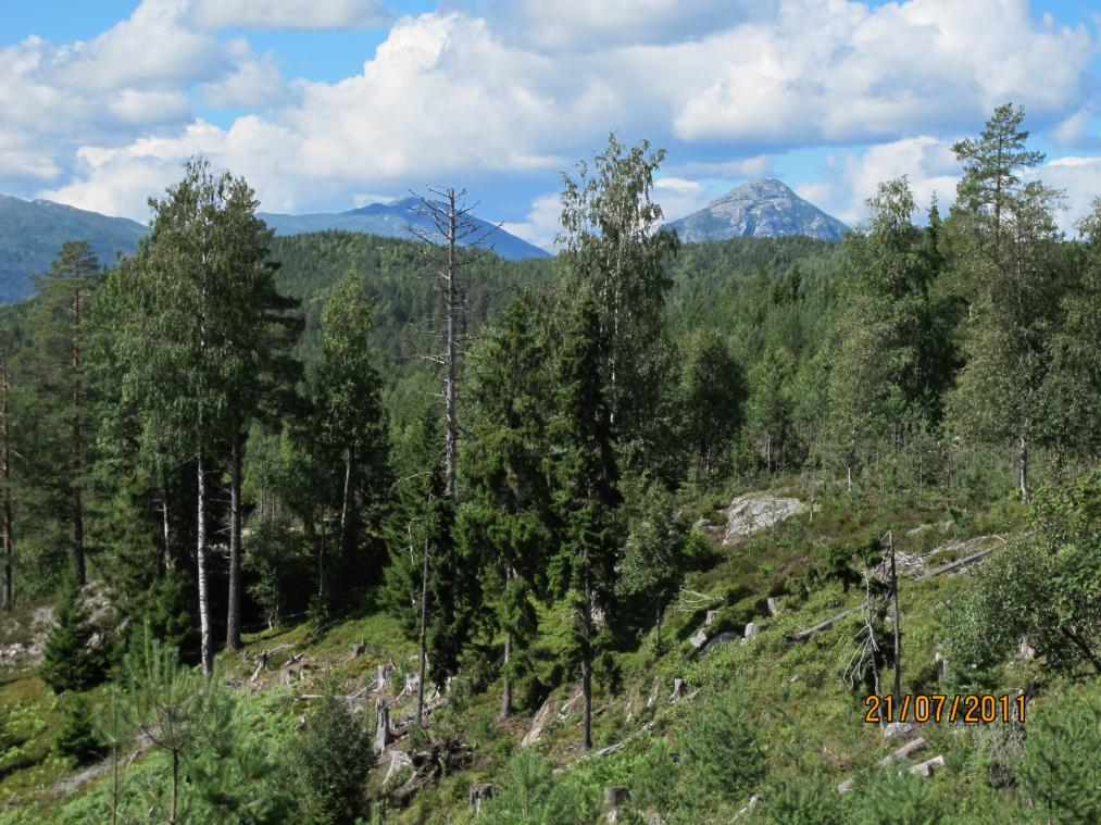 TELEMARK FYLKESKOMMUNE KULTURHISTORISK REGISTRERING Notodden kommune Grønkjær hyttefelt GNR. 72, BNR.