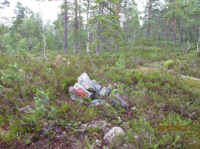 Figur 11: Praktfull hoggorm. Figur 12: Fersk avføring, muligvis fra bjørn. Figur 13: Skiftende værforhold preget undersøkelsen.