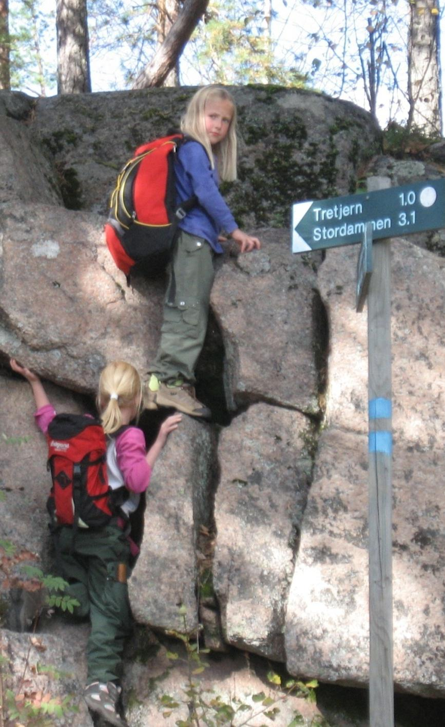 VERDIGRUNNLAGET HVORFOR? Fire argumenter å bygge på Stedsbasert læring 1.