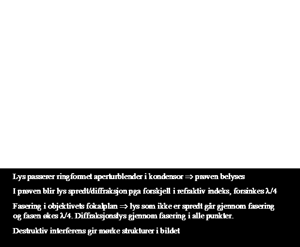 2 Konstruktiv/destruktiv interferens oppnås ved å sette inn i lysgangen i mikroskopet: 1) Ringformet aperturblender i kondensorens (fremre fokalplan). 2) Fasering i objektivets bakre fokalplan.