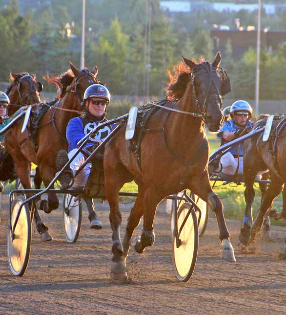 MANDAG 29. august 2016 kl.18.25 Løpsdag 34 Aron Marsh og Arve Sjoner Ponniløp 1 start kl. 17.