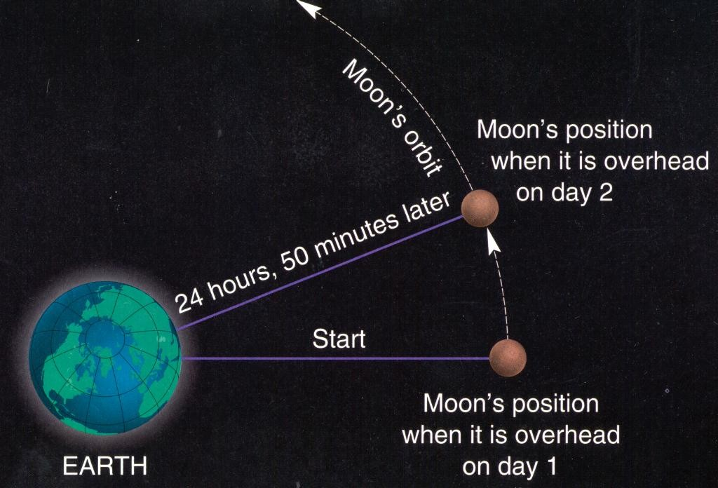 Månens bevegelse rundt jorda gir litt mer enn 12 timer mellom