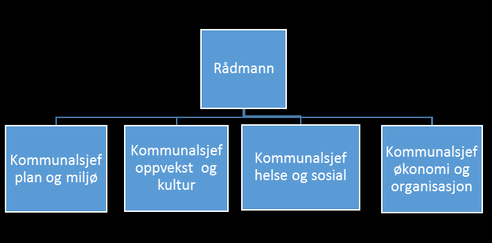 prinsipper som skal ligge til grunn for den administrative organiseringen: Pkt. 4.