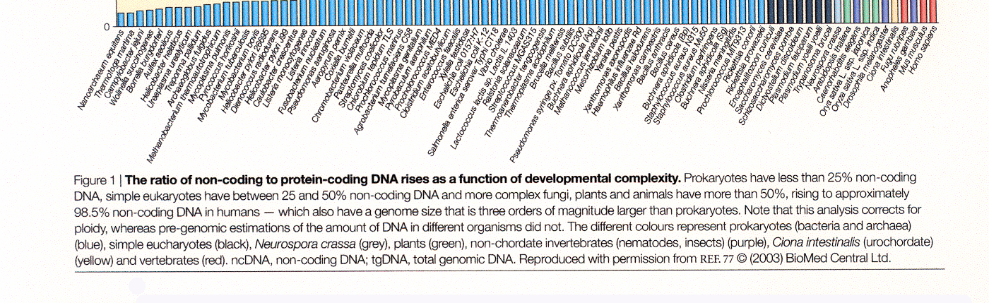 6 Figur 2-3 Disse genom-endringene i npcdna viser et visst sammenfall med evolusjonsmessig kompleksitet til arter