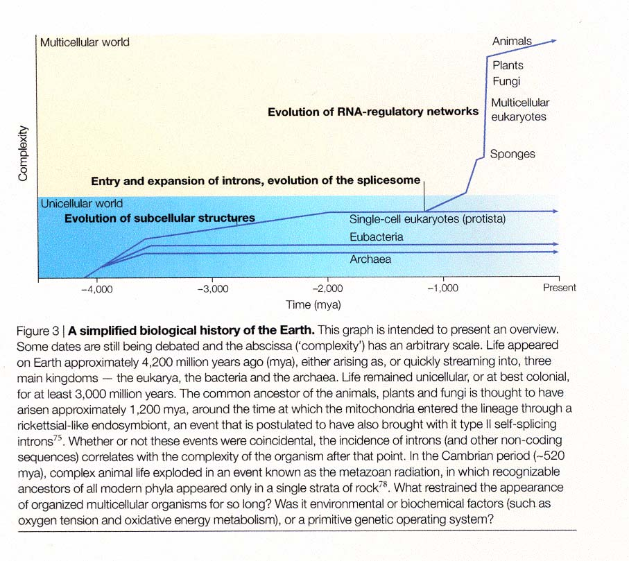 7 Figur 2-4 2.7 Kvalitative og kvantitative vurderinger av translaterbare RNA - populasjoner (mrna-populasjoner) pr. celle Det antas at en gjennomsnittlig somatisk celle totalt inneholder 10.000-15.