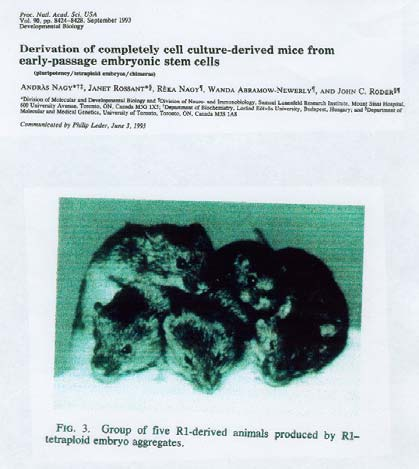 7 Figur 6-8 6.8 RNA interferens - teknologier. Global og regional knockdown av gen-ekspresjonsprodukter I avsnitt 3.