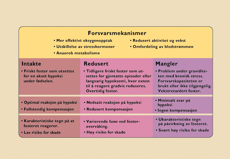 Effekt av alvorlig kronisk hypoksi på hjerne Volumtap-hypotensjon Forholdet mellom hypotensjon & nerveceller skader Fosteret har god strategi for hypoksi Alvorlighetsgraden av hypotensjon under