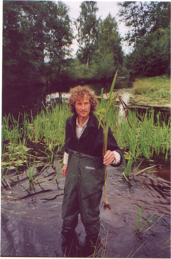 Figur 3. Anders Often holder et eksemplar av kjempepiggknopp (Sparganium erectum ssp. microcarpum) fra lokalitet 13, N-enden av Store Gaustadsjøen ut for det restaurerte sagbruket.