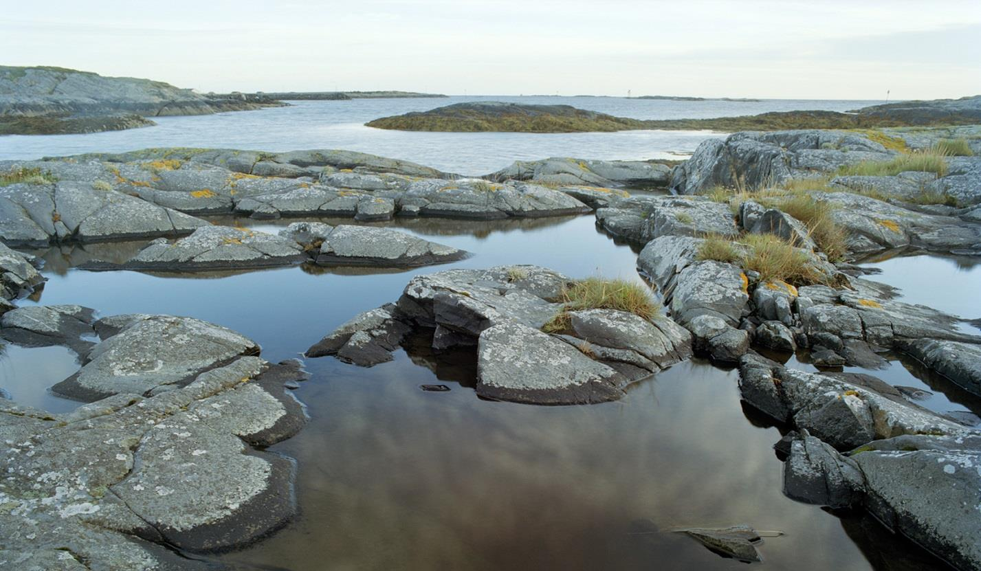 Bakgrunn og formål I Forskrift om energiutredninger utgitt av NVE januar 2003 er områdekonsesjonærer for el-nettet pålagt å utarbeide, oppdatere og offentliggjøre en energiutredning for hver kommune