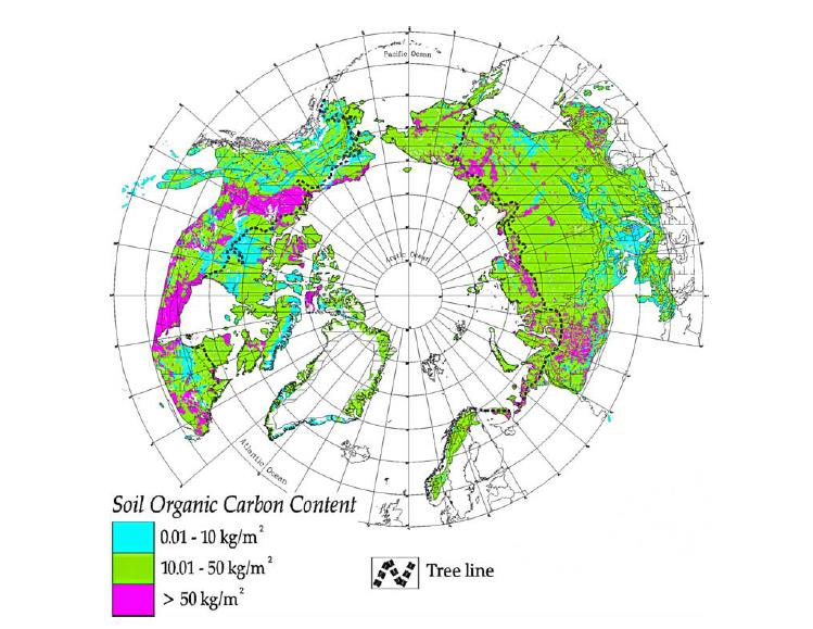 Arktisk og alpin tundra er et kjæmpe karbon lager 50 % av globalt estimert underjordisk karbon (C) finnes innen nordiske