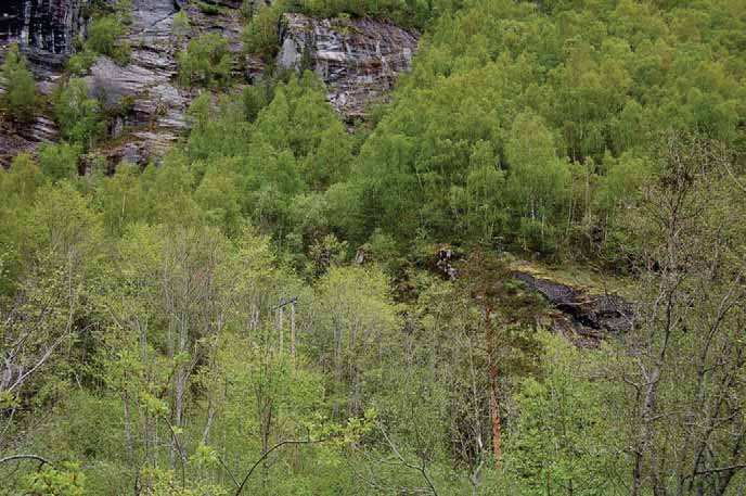 Omtrentlig plassering av påhugg Bilde 4: Omgivelsene rundt påhugget 500 m vest for Skiri.