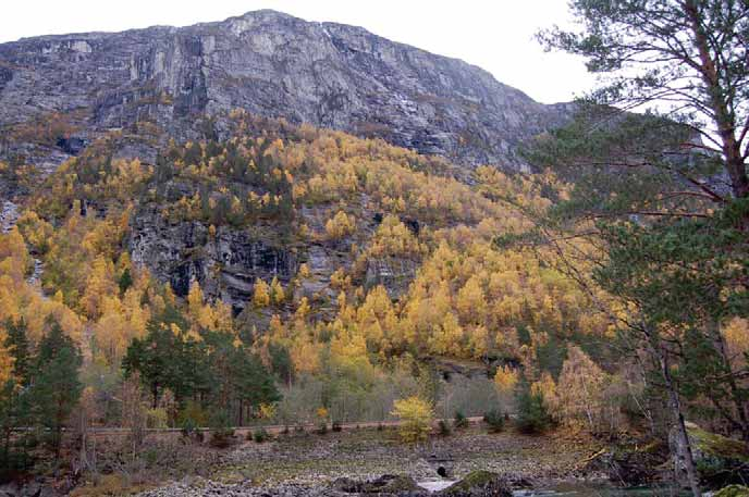 Område for tunnelpåhugg Bilde 6: Samme påhugg som forrige bilde.