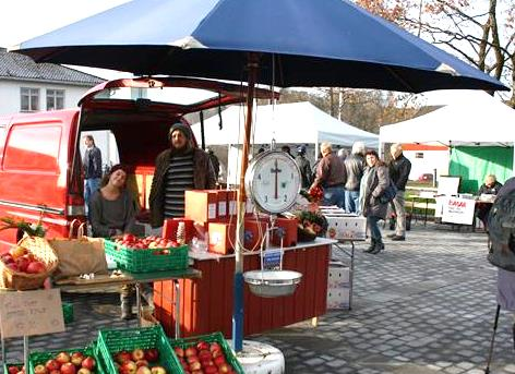 Trafikktellingene fra Statens vegvesen og nummerskiltundersøkelsen viser at trafikken i sentrum (Bøgata og Stasjonsvegen) er vesentlig større enn utenfor sentrumsområdet.