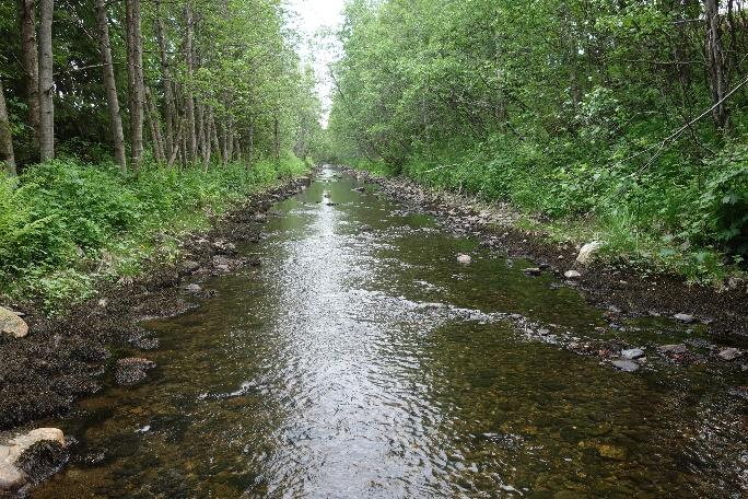 Kartlegging av elvemusling (Margaritifera margaritifera) i