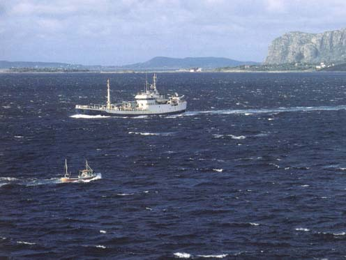 Kapasiteten i fiskeflåten Overkapasitet mest alvorlige trussel mot en bærekraftig fiskeriforvaltning Både EU og Norge har en betydelig overkapasitet i