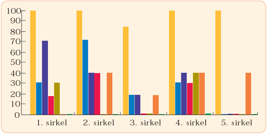 Pilotstudie 3: 10 unge og voksne med utviklingsvansker