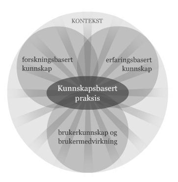 Kunnskapsbasert praksis