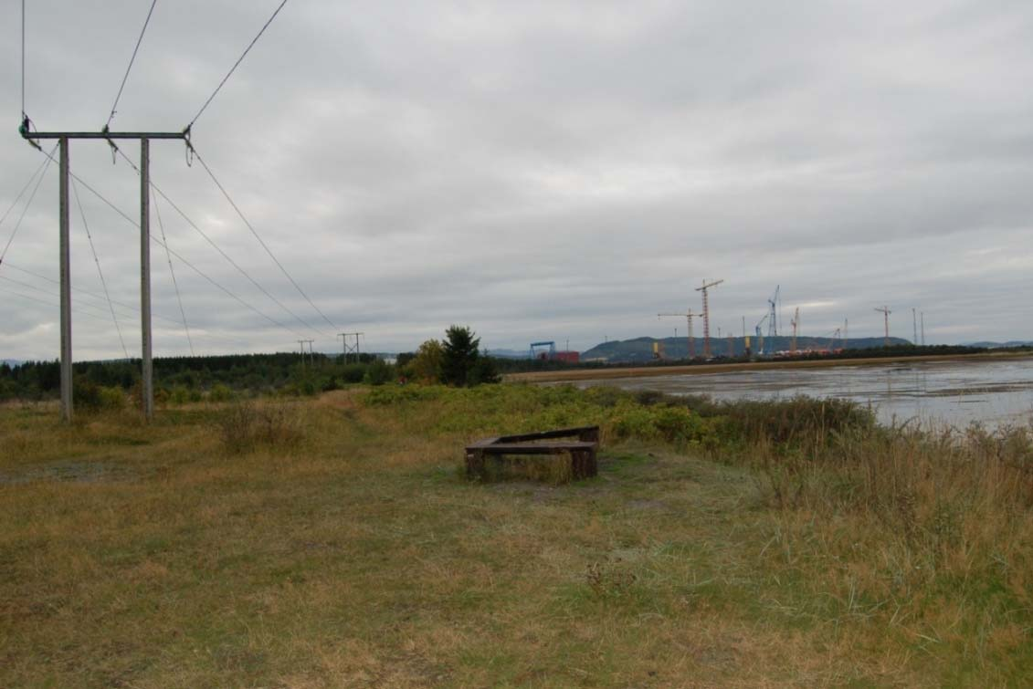 Figur 3. Rynkerose dominerer langs stien på Ørin. Foto: L.S. Nilsen/Bioforsk.