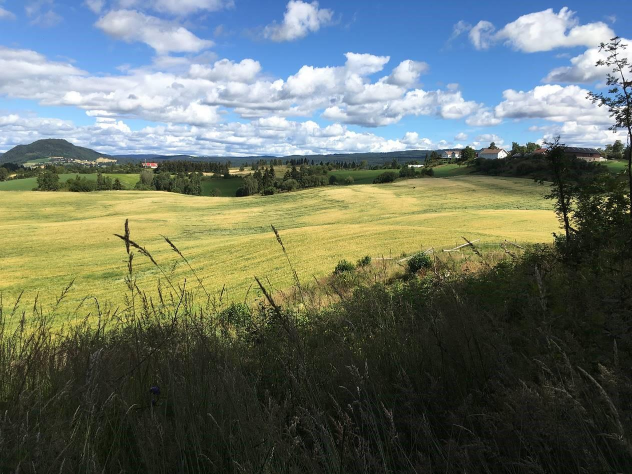 Skogen er den naturtypen i Norge med flest arter. Skogbruksloven forplikter derfor skogforvaltningen til å ta hensyn til biologisk mangfold i forvaltningen av skogressursene.