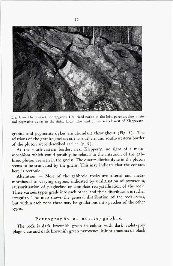 15 Fig. 5. The contact norite/gneiss. Uralitized norite to the left, porphyroblast gneiss and pegmatite dykes to the right. Loe: The yard of the school west of Kleppevatn.