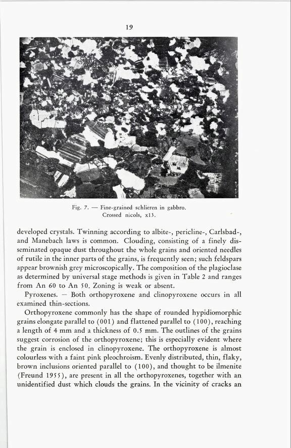 19 Fig. 7. Fine-grained schlieren in gabbro. Crossed nicols, xl3. developed crystals. Twinning according to albite-, pericline-, Carlsbad-, and Manebach laws is common.