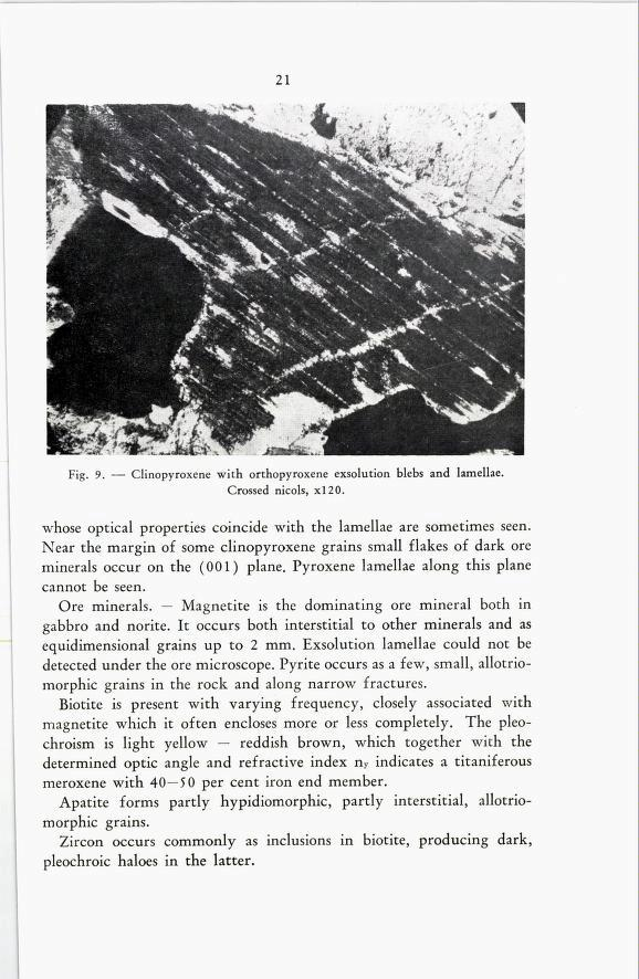 21 Fig. 9. Clinopyroxene with orthopyroxene exsolution blebs and lamellae Crossed nicols, xl2o. whose optical properties coincide with the lamellae are sometimes seen.