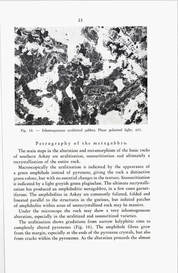 23 Fig. 10. Inhomogeneous uralitized gabbro. Plane polarised light, x 3. Petrography of the metagabbro.