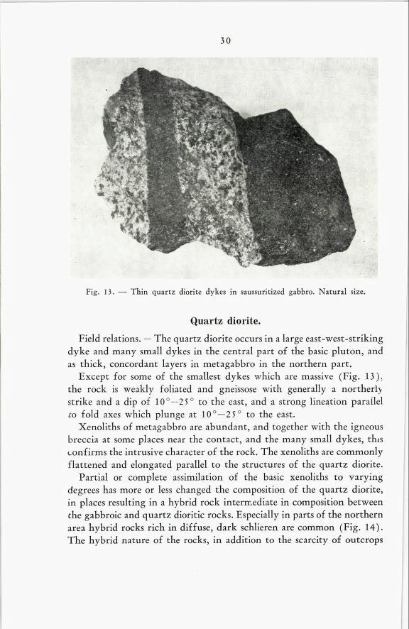 30 Fig 13. Thin quartz diorite dykes in saussuritized gabbro. Natural size Quartz diorite Field relations.