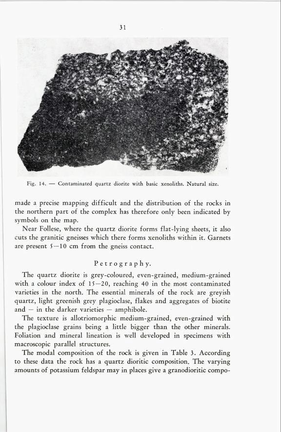 31 Fig. 14. Contaminated quartz diorite with basic xenoliths.