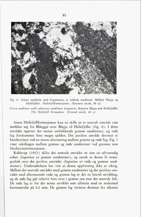 85 Fig. 6. Grønn sandstein med fragmenter av kalkrik mudstone. Mellom Blegja og Heilefjellet. Heilefjellformasjonen. (Kryssete nicols, 60 x). Green sandstone with calcareous mudstone fragments.