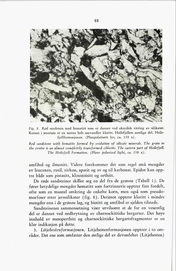 88 Fig. 8. Rød sandstein med hematitt som er dannet ved oksydisk vitring av silikater. Kornet i sentrum er en nesten helt omvandlet kloritt. Heilefjellets austlige del. Heilefjellformasjonen.