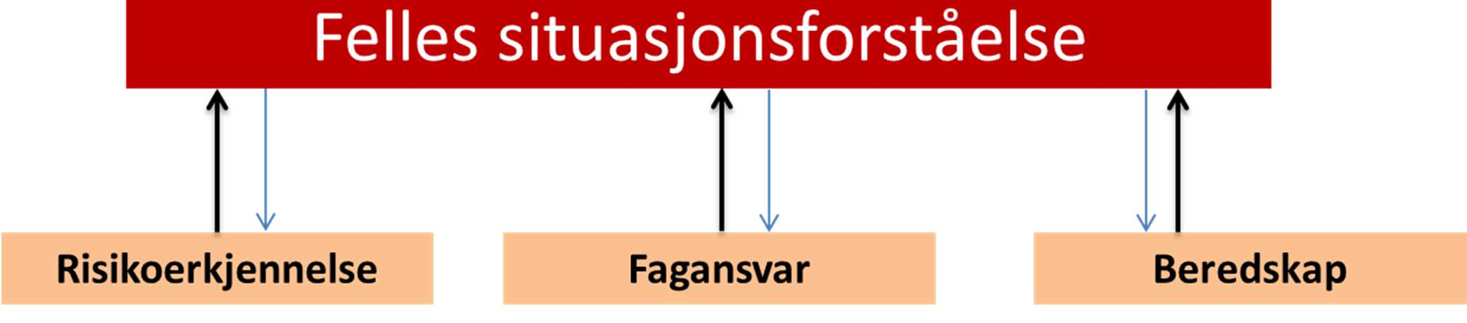 Mye gikk bra i håndteringen av asylankomstene i 2015 denne presentasjonen vil hovedsakelig konsentrere