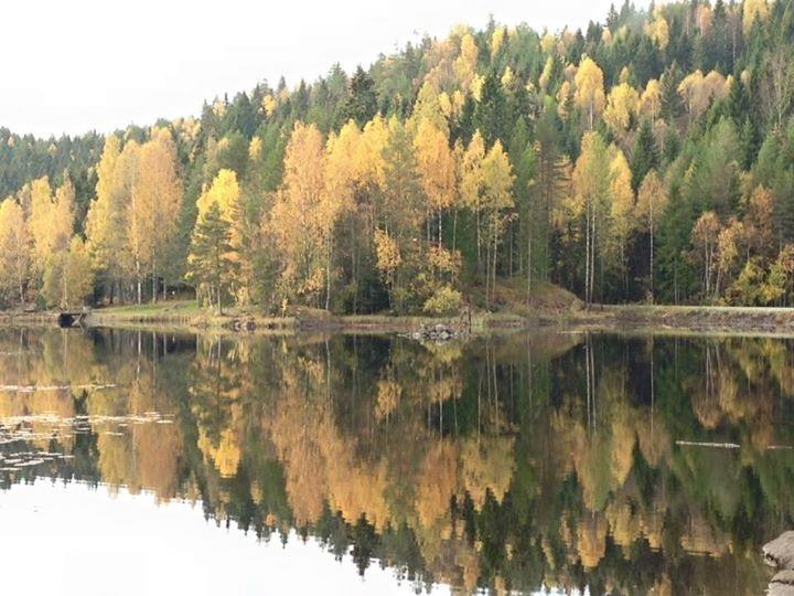 Helse Sør-Øst RHF Gode og likeverdige helsetjenester til alle som trenger det, når de trenger det, uavhengig av alder,