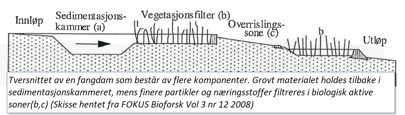 FANGDAMMER. En fangdam er en konstruert våtmark og er vanligvis laget som en utvidelse av bekkestrengen. Formålet med en fangdam er først og fremst å rense vannet for jordpartikler og næringsstoffer.